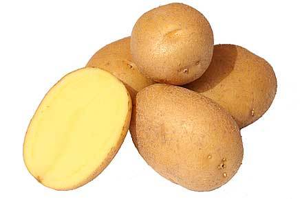 German Butterball Potatoes